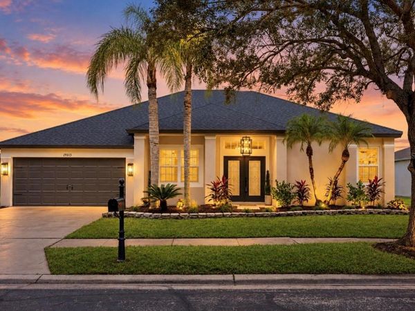 19015 FERN MEADOW LOOP , LUTZ, FL 33558