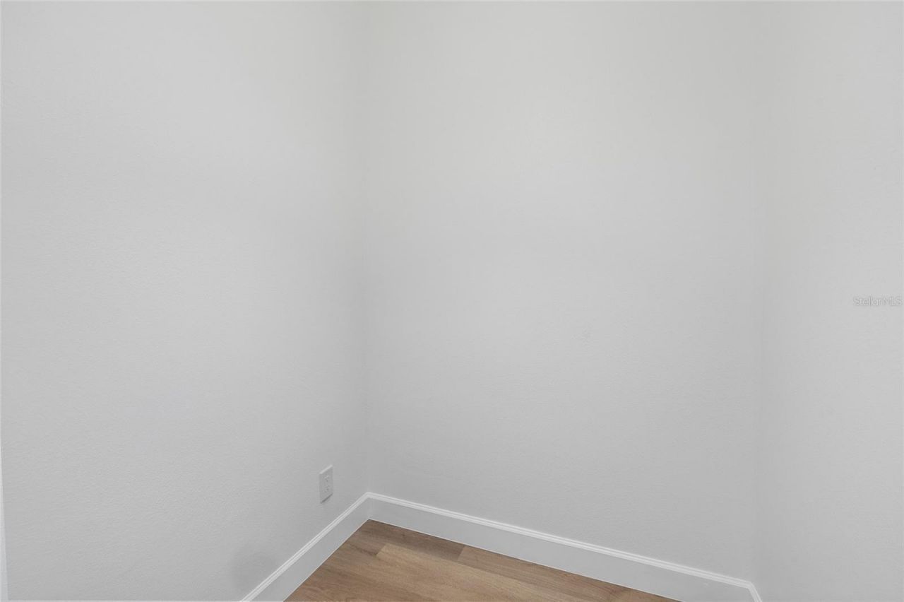 19015 Fern Meadow Loop, Lutz, FL 33558 Photo