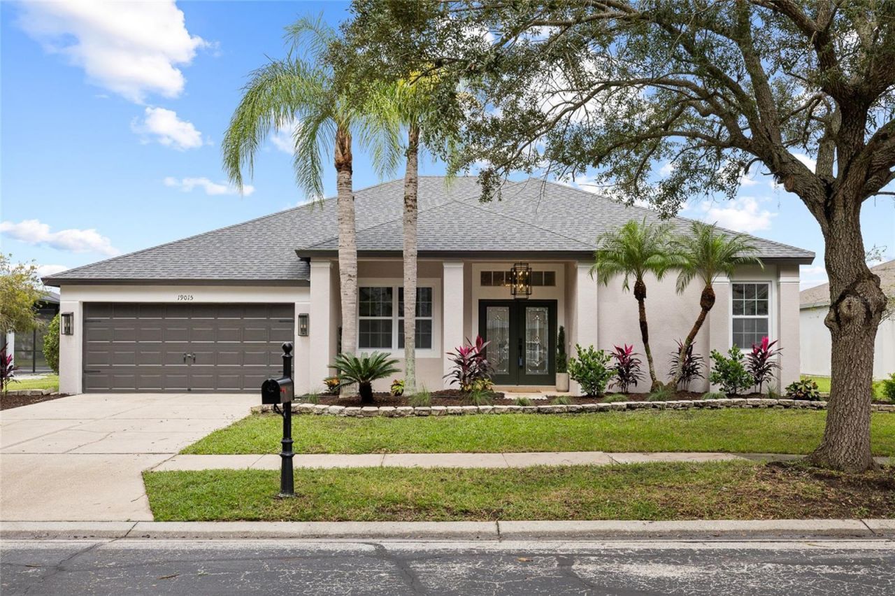 19015 Fern Meadow Loop, Lutz, FL 33558 Photo