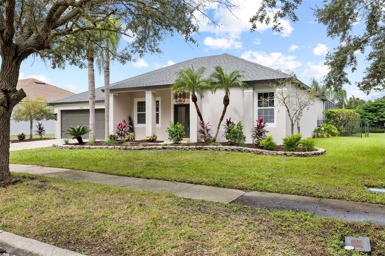 19015 Fern Meadow Loop, Lutz, FL 33558 Photo