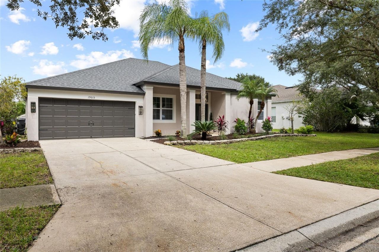 19015 Fern Meadow Loop, Lutz, FL 33558 Photo