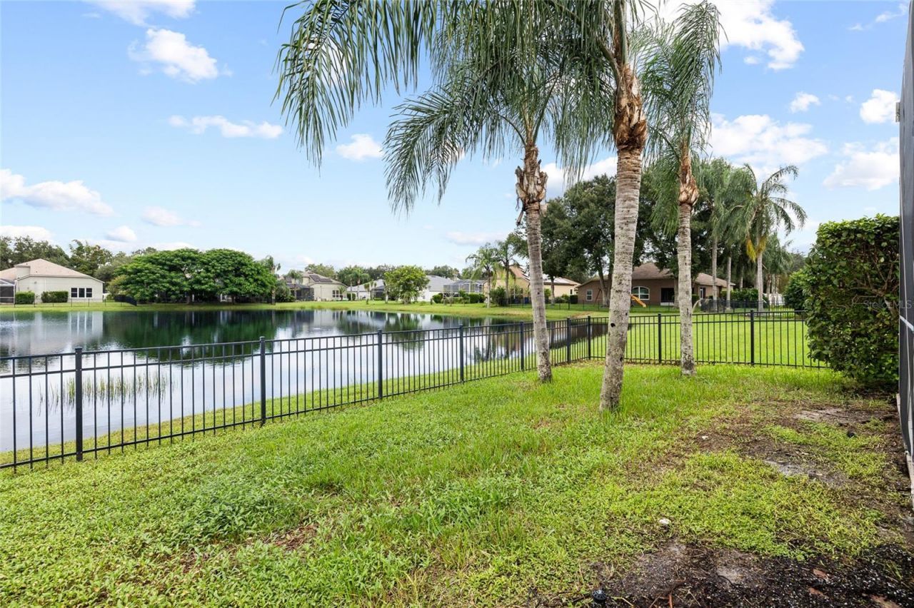 19015 Fern Meadow Loop, Lutz, FL 33558 Photo