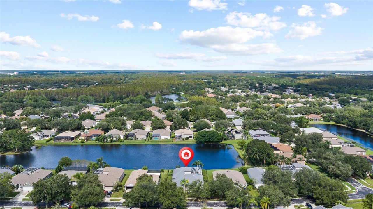 19015 Fern Meadow Loop, Lutz, FL 33558 Photo