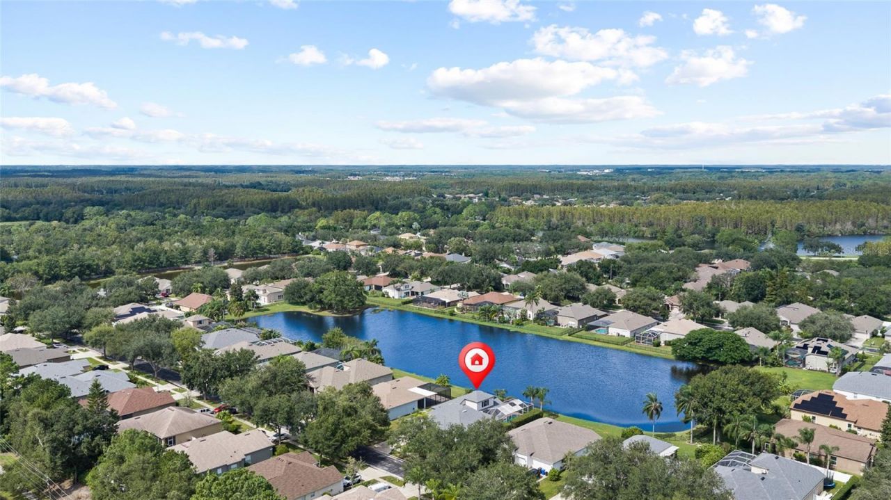 19015 Fern Meadow Loop, Lutz, FL 33558 Photo