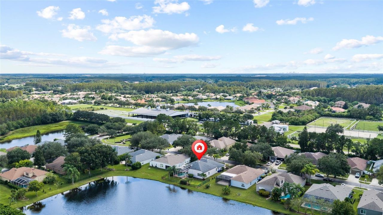 19015 Fern Meadow Loop, Lutz, FL 33558 Photo