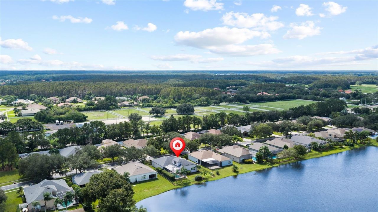 19015 Fern Meadow Loop, Lutz, FL 33558 Photo