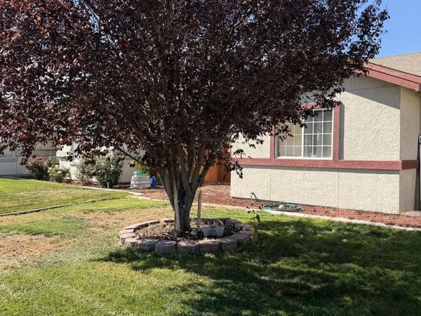 795 Elkhorn Way, Fallon, NV 89406