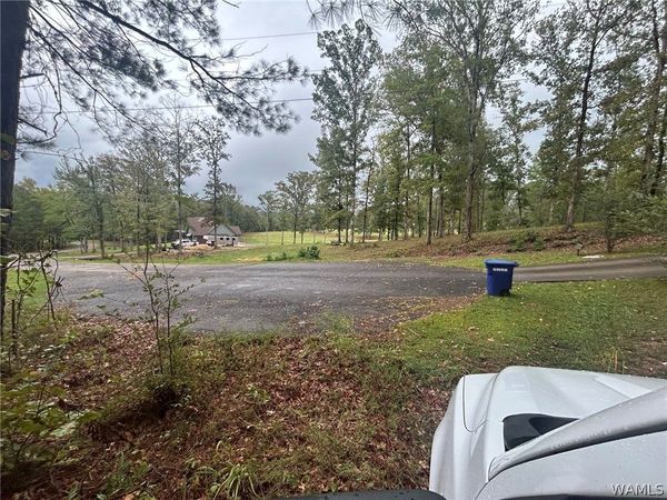 46 TANGLEWOOD Circle, Reform, AL 35481