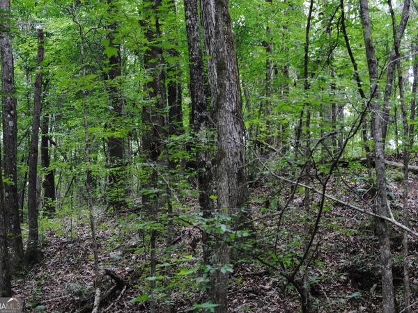 4509 Sr 18 Highway, West Point, GA 31833