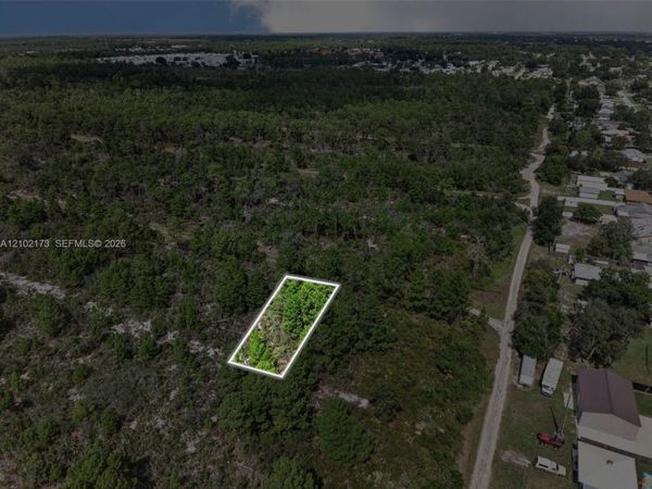 411 Scaup Ave, Sebring, FL 33872