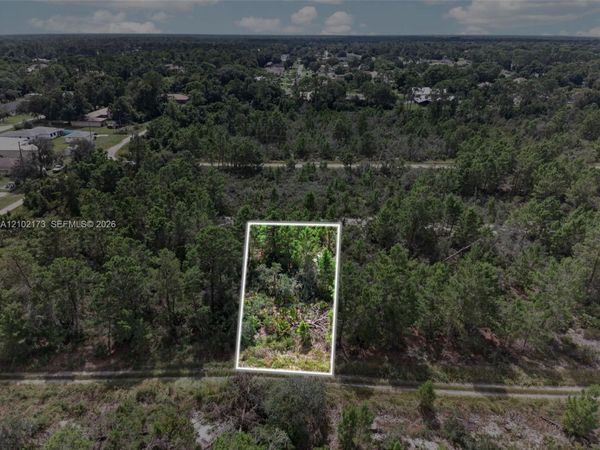 411 Scaup Ave, Sebring, FL 33872