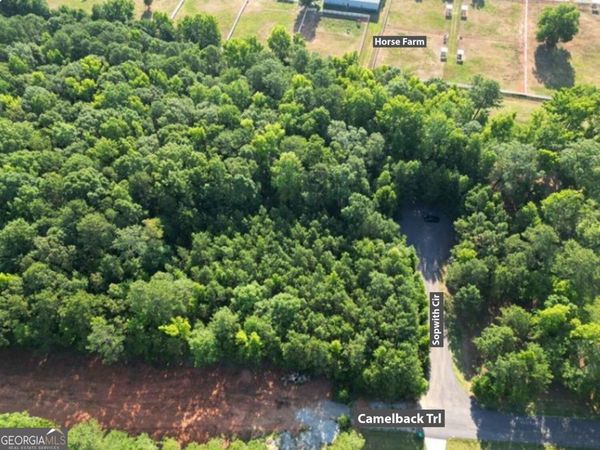 369 Canvasback Trail, Unit 147, Locust Grove, GA 30248