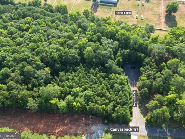 369 Canvasback Trail, Unit 147, Locust Grove, GA 30248