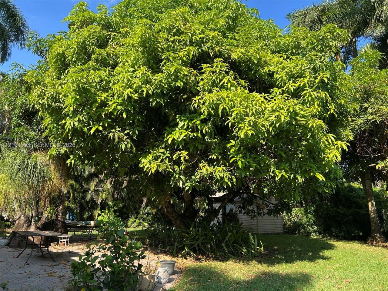 30221 SW 172nd Ave , Homestead, FL 33030 Photo