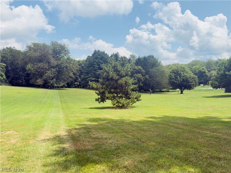 1050 Bantam Ridge Road, Wintersville, OH 43953 Photo 10