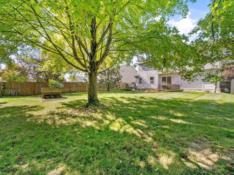 223 Sonoma Drive, Delaware, OH 43015 Photo 57