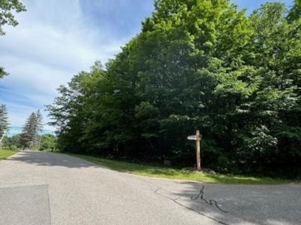 Lot 4 Deskin Drive, Custer Township, Mi 49615