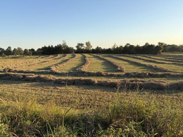 Rob Hill Road , Dardanelle, AR 72834
