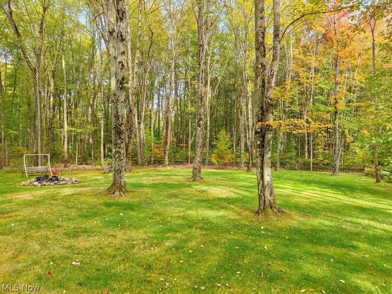 10900 Stafford Road, Chagrin Falls, OH 44023 Photo 43