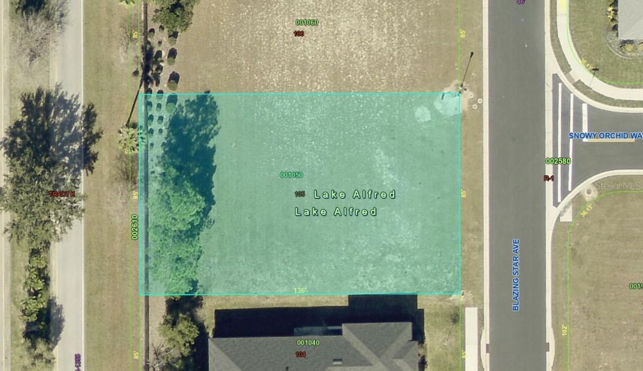 199 Blazing Star Avenue, Lake Alfred, FL 33850 Main Photo