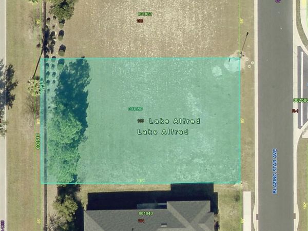 199 BLAZING STAR AVENUE , LAKE ALFRED, FL 33850