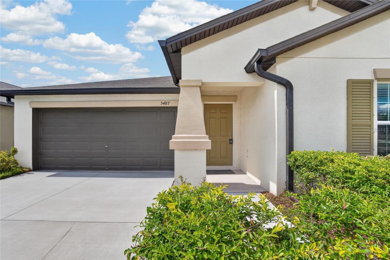 5487 Blue Azure Drive , Wimauma, FL 33598 Photo