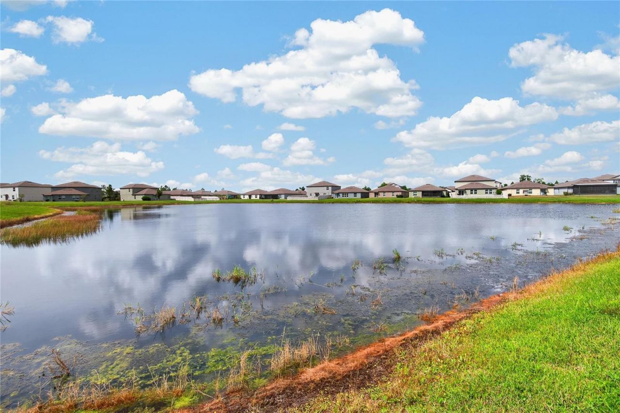 5487 Blue Azure Drive , Wimauma, FL 33598 Photo