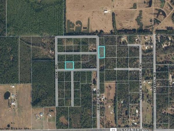 SPRUCE ROAD , INTERLACHEN, FL 32148