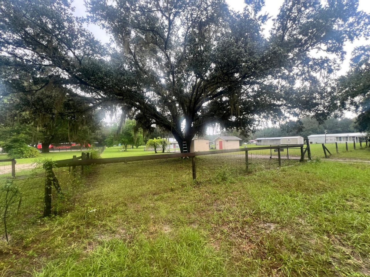 2031 SE 191st Terrace, Morriston, FL 32668 Photo