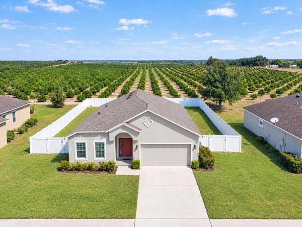 3588 SPRING CREEK ROAD , DUNDEE, FL 33838