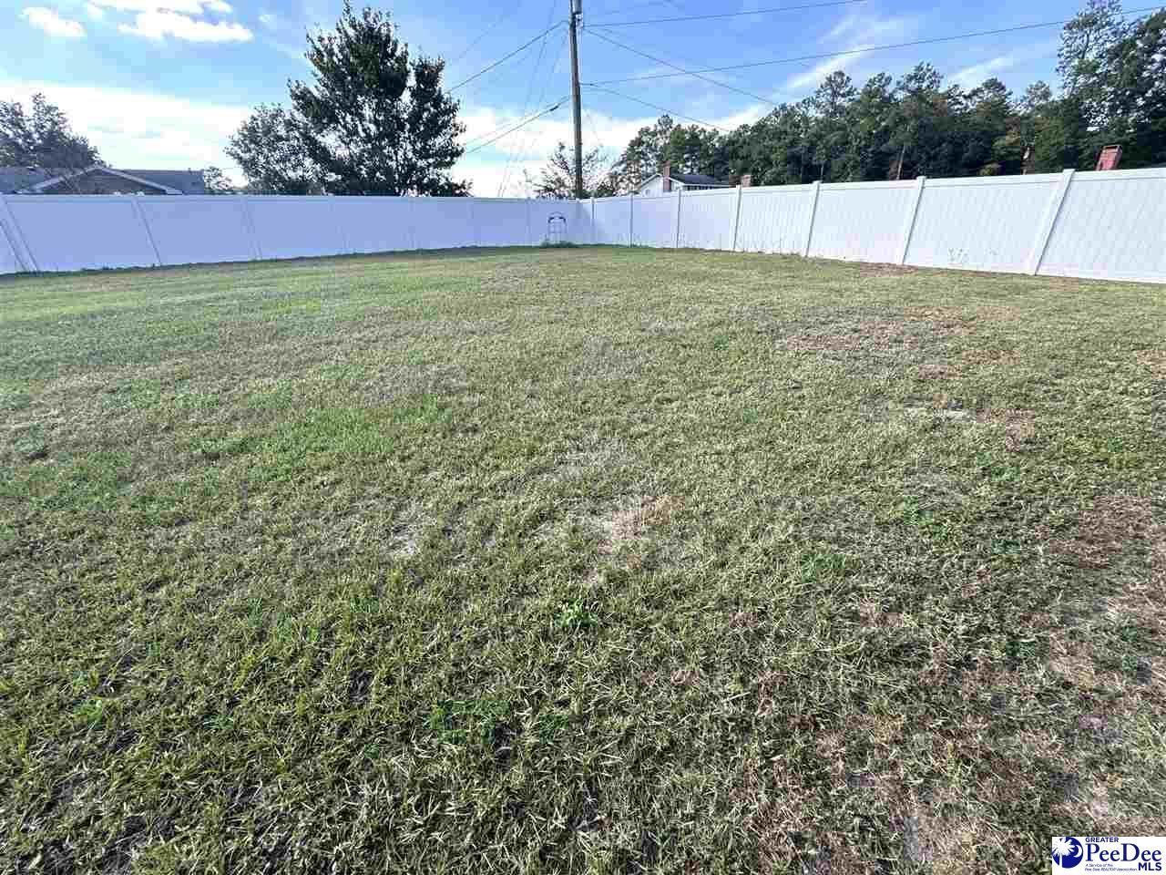 1319 Richard Street Photo 31