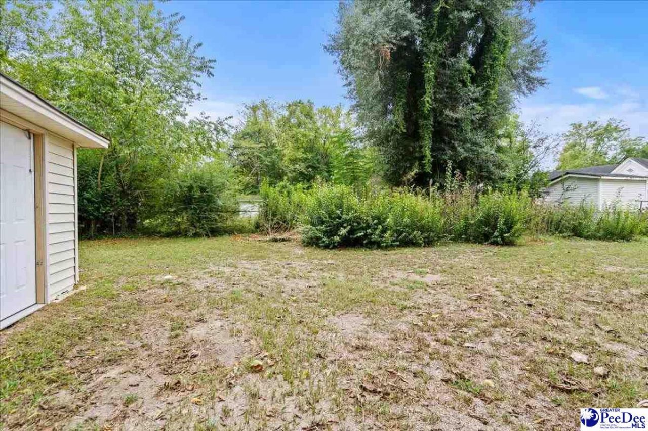 218 Davis St Photo 33