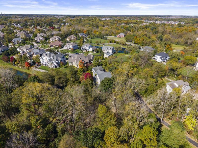 9776 Erin Woods Drive, Dublin, OH 43017 Photo 117