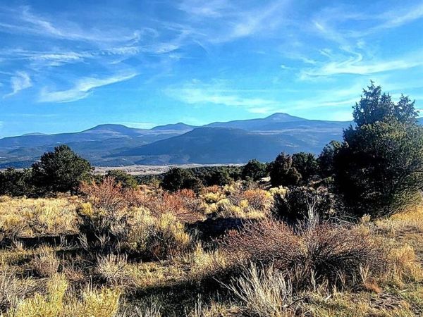 1094 & 1343 Valley View Road, South Fork, CO 81154