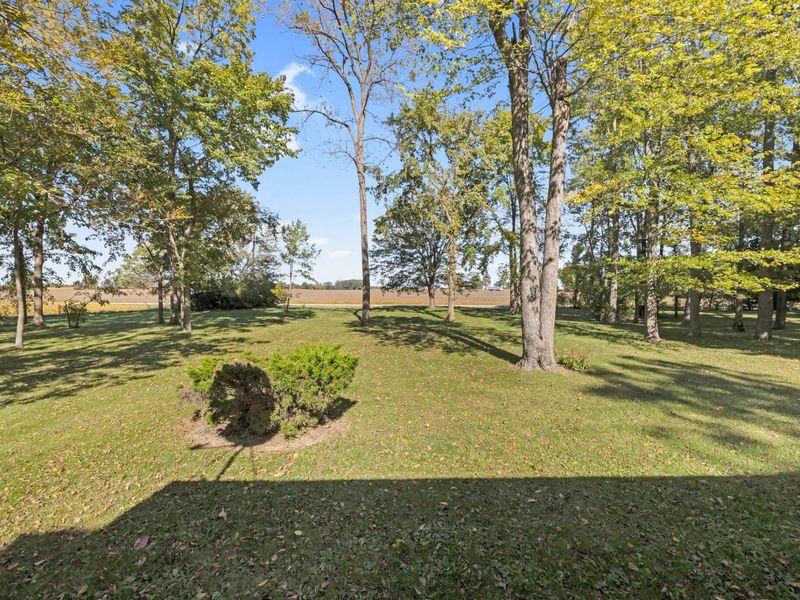 26468 Goshen Road, Lakeview, OH 43331 Photo 8