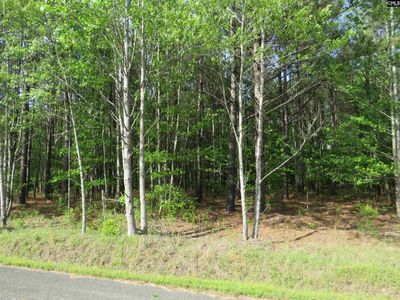 S/S Old Eastover Road , Unit 3, Eastover, SC 29044
