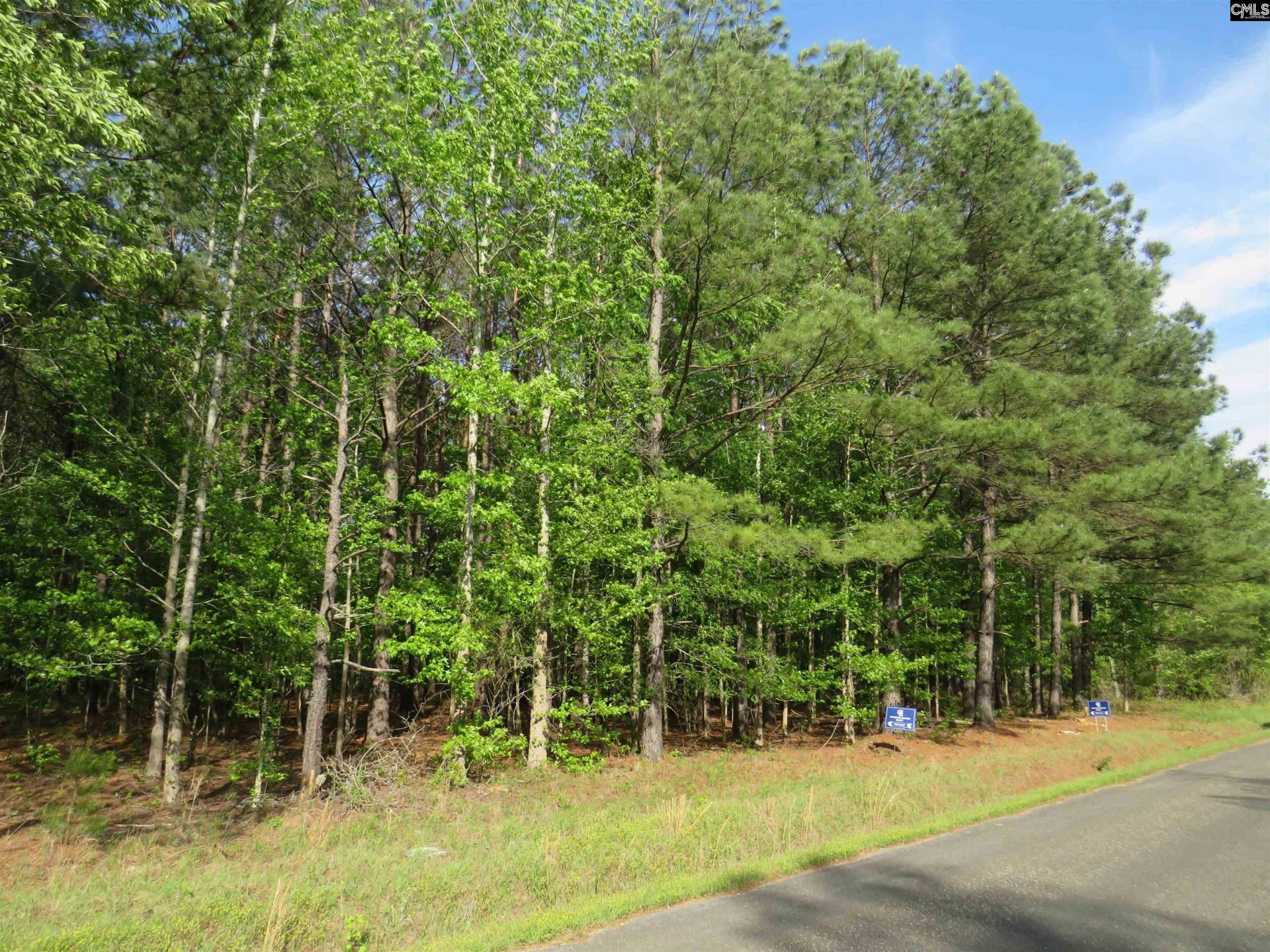 S/s Old Eastover Road  Photo 5