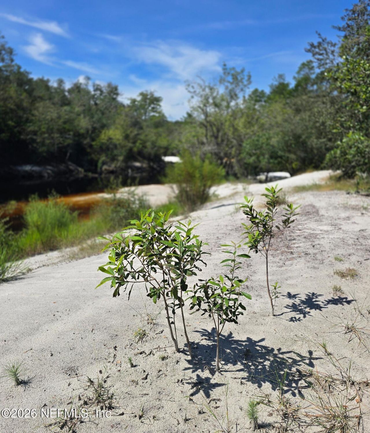 Tbd Crews Road Road, Glen St. Mary, FL 32040 Photo