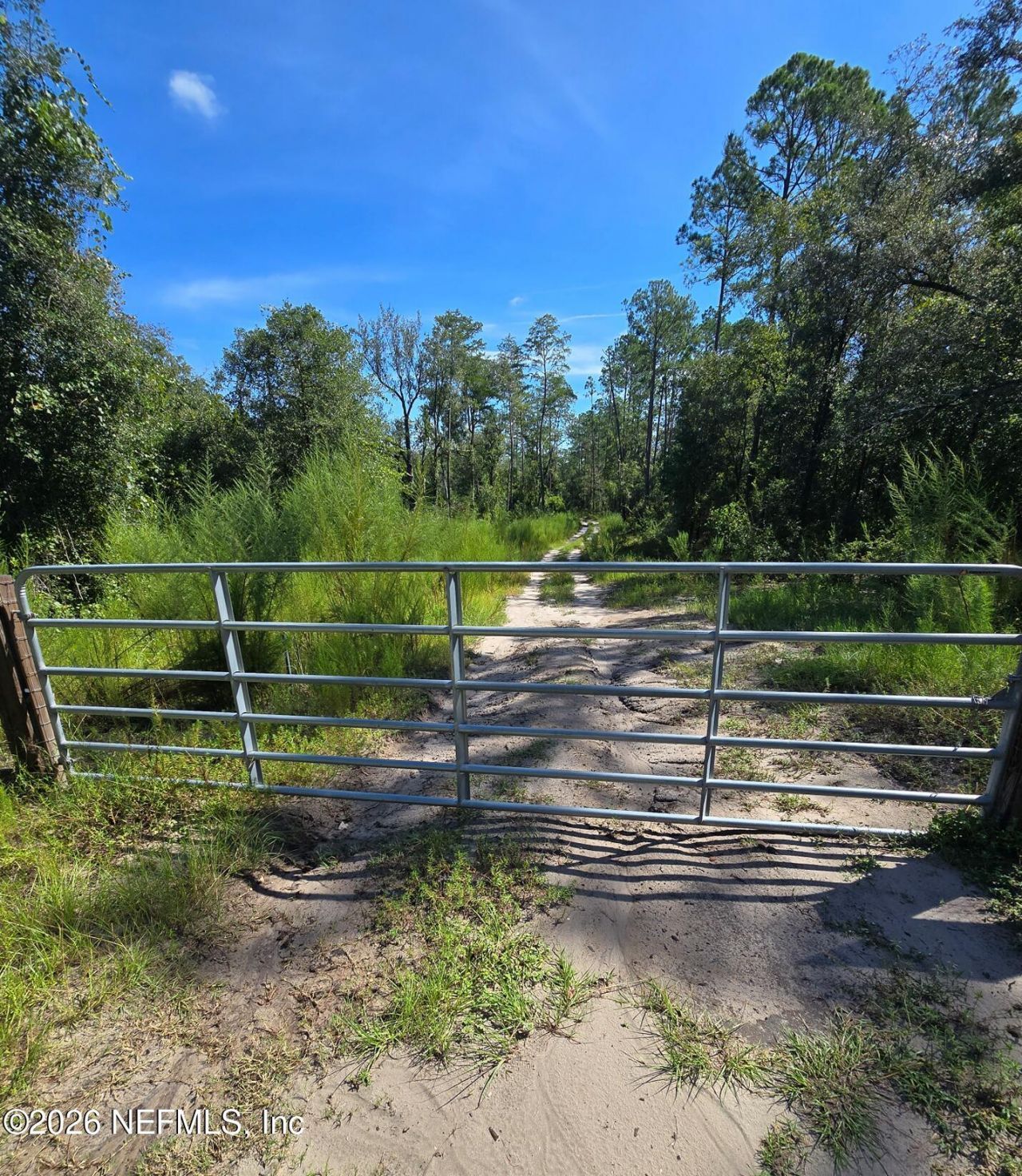 Tbd Crews Road Road, Glen St. Mary, FL 32040 Photo