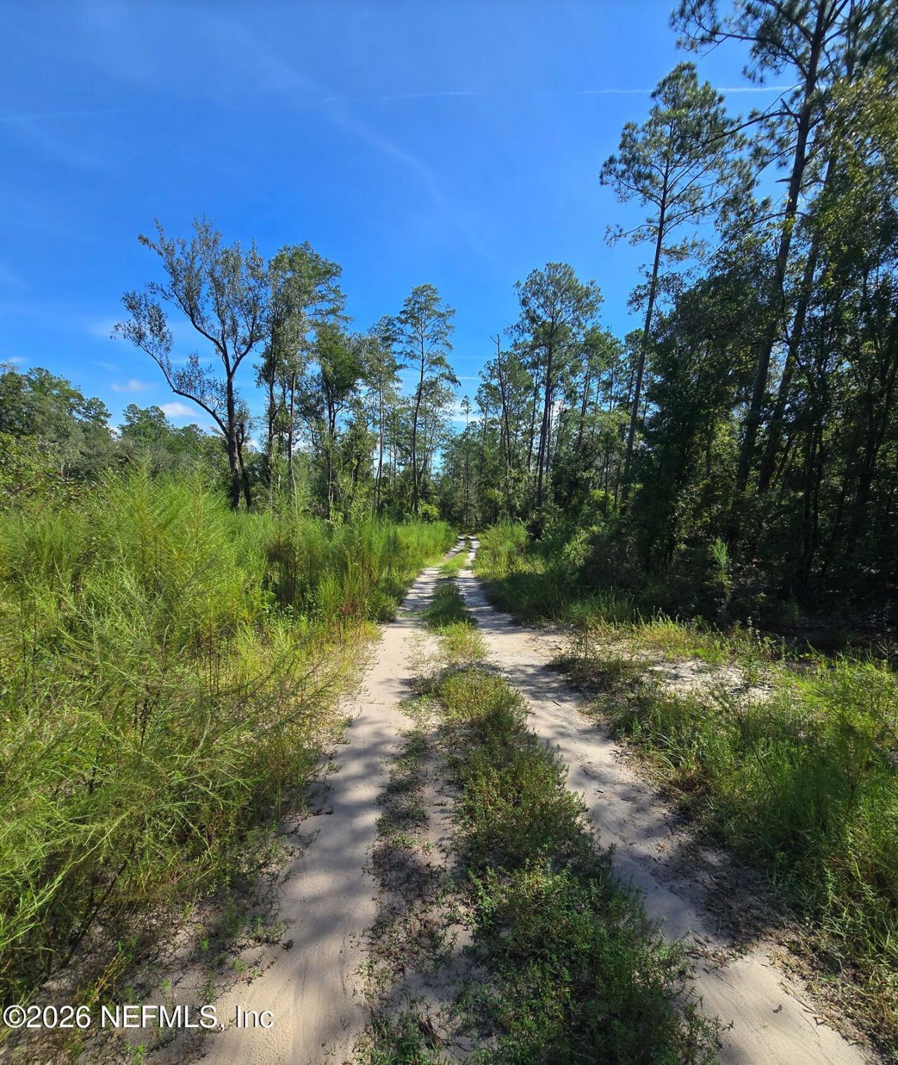 Tbd Crews Road Road, Glen St. Mary, FL 32040 Photo
