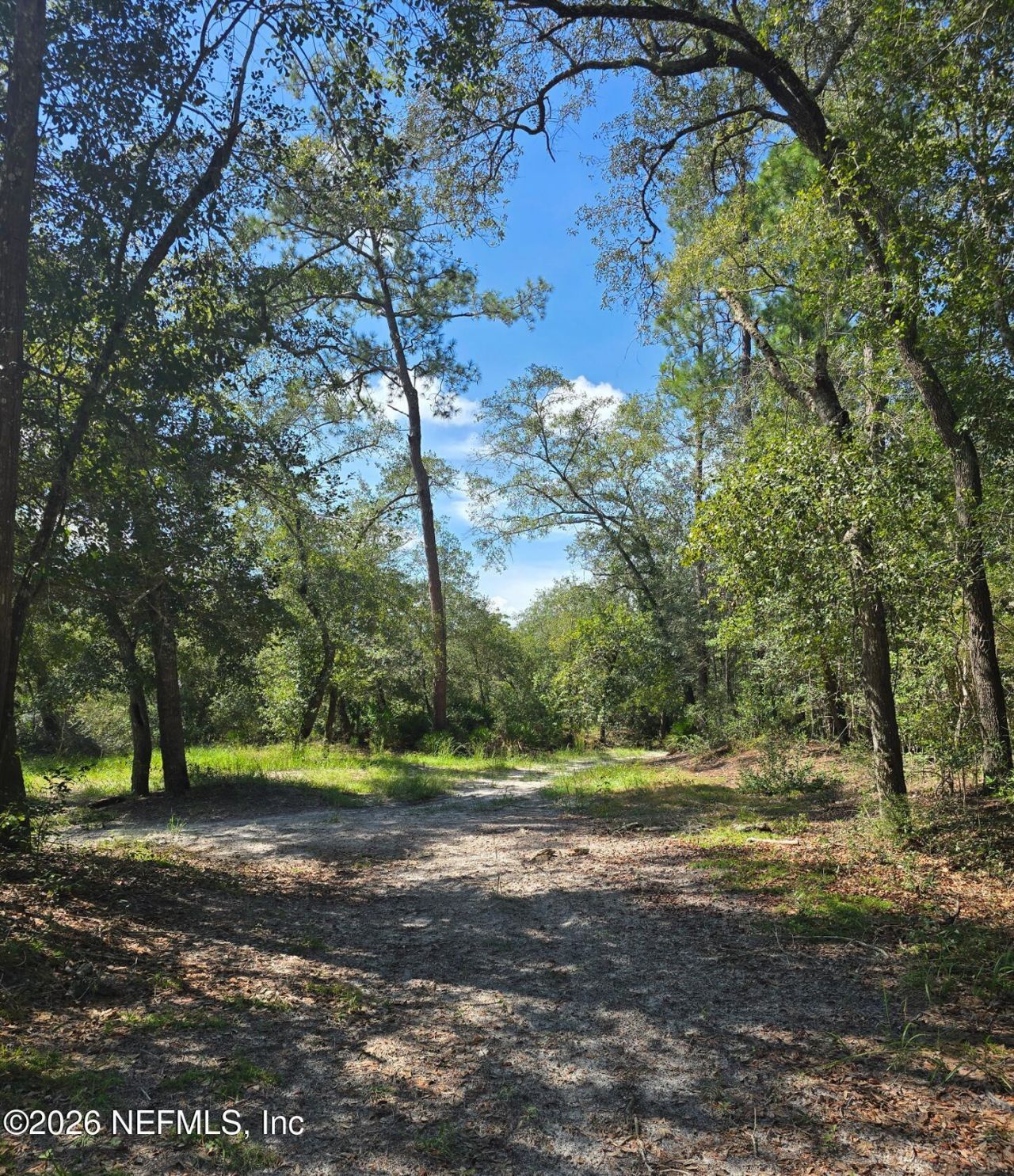 Tbd Crews Road Road, Glen St. Mary, FL 32040 Photo
