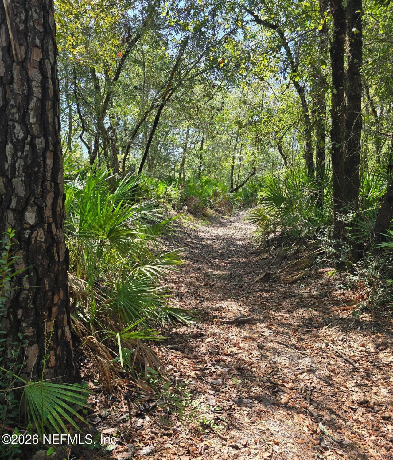 Tbd Crews Road Road, Glen St. Mary, FL 32040 Photo
