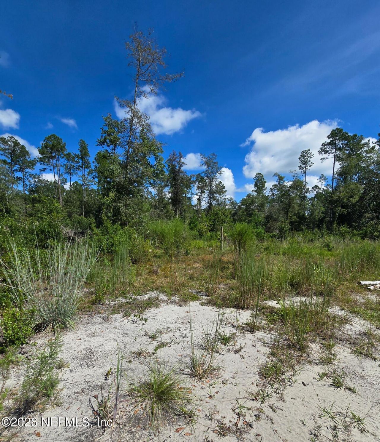 Tbd Crews Road Road, Glen St. Mary, FL 32040 Photo