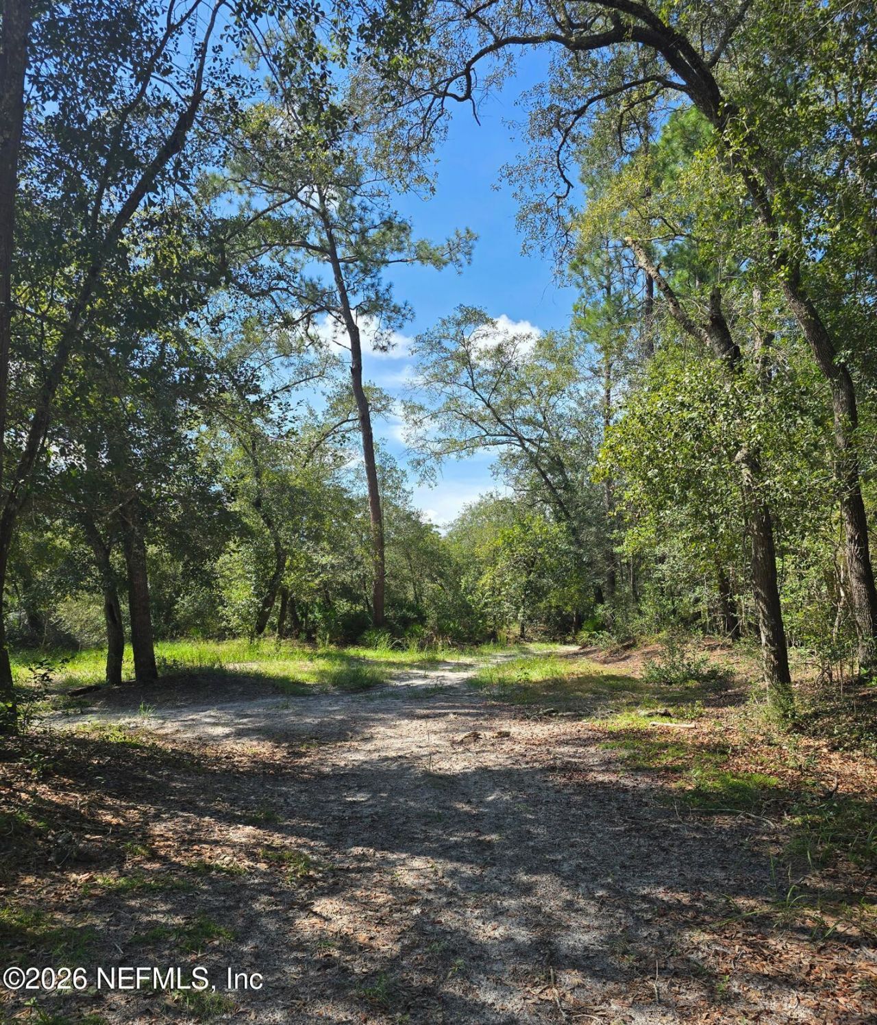 Tbd Crews Road Road, Glen St. Mary, FL 32040 Photo
