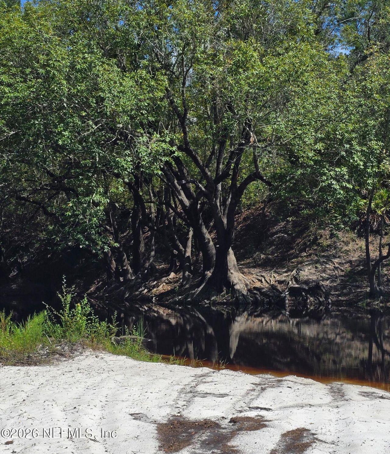 Tbd Crews Road Road, Glen St. Mary, FL 32040 Photo