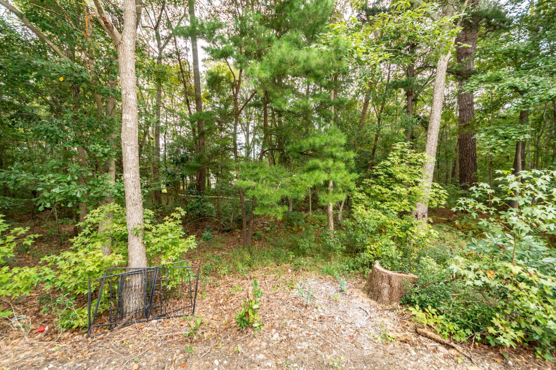 9454 Netted Charm Court Photo 35