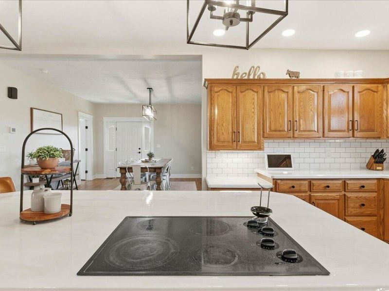 10991 County Road 26, West Mansfield, OH 43358 Photo 19