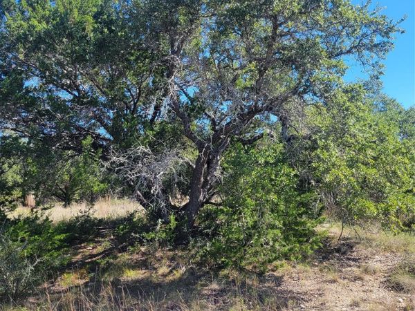 648 Bonita DR , Blanco, TX 78606