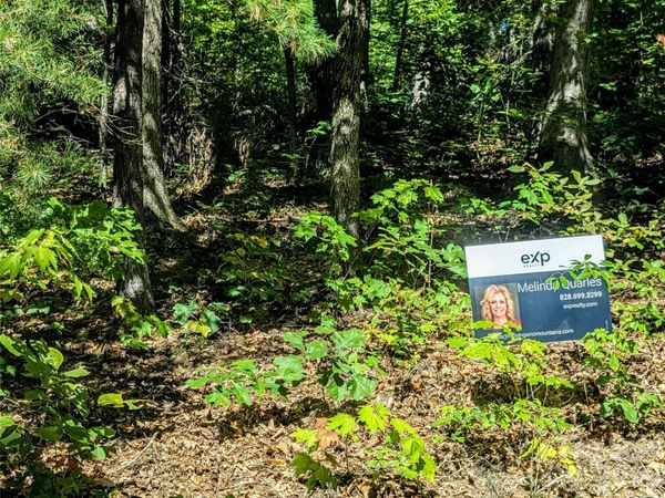 0000 Mackenzie Way , Swannanoa, NC 28778