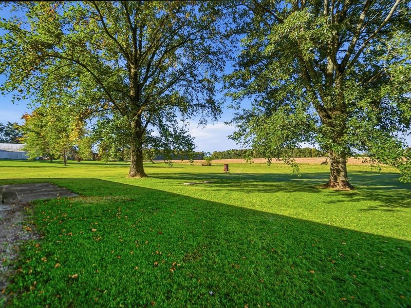 6206 Cemetery Road, De Graff, OH 43318 Photo 24